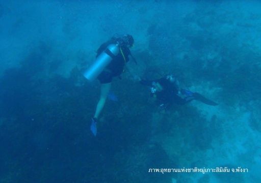 เพิกถอนใบอนุญาตเรือซีเพิร์ล 3 แอบสอนดำน้ำ "Try dive"หมู่เกาะสิมิลัน