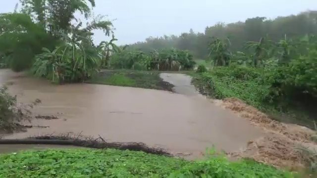 พะเยาฝนตกหนัก ทำน้ำท่วมขังหลายพื้นที่ เร่งขุดลอกคูเมืองระบายน้ำ