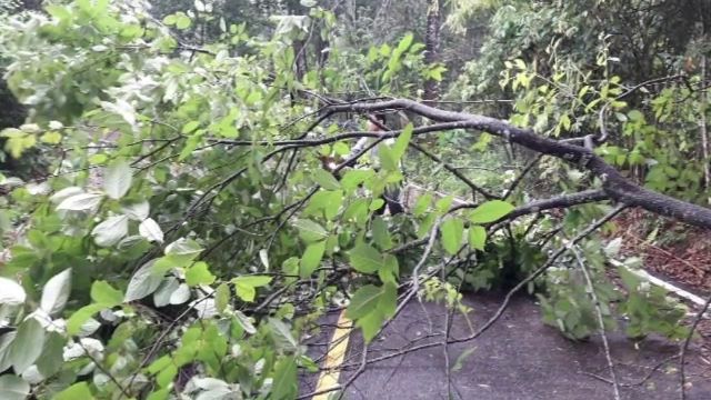 ฝนตกหนักพัดดินถล่มเส้นทาง อ.เมืองปาน จ.ลำปาง 