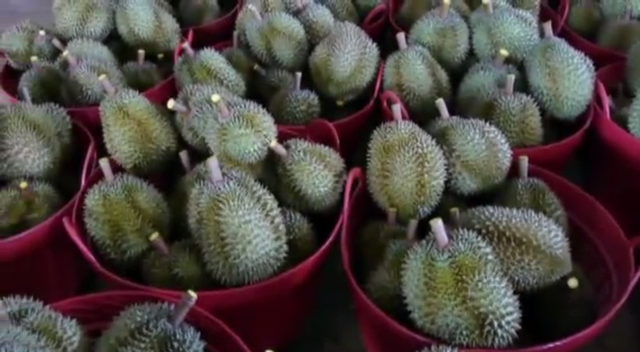 พาณิชย์-เกษตร หารือจัดระเบียบทุเรียนชุบสารเหลือง หลังถูกผู้บริโภคจีนร้องเรียน