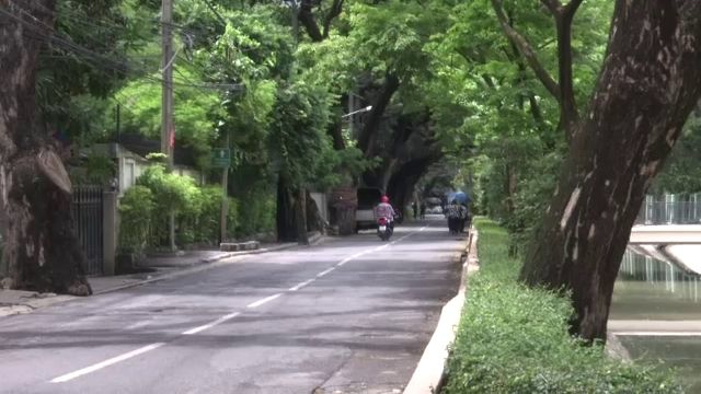 เฝ้าระวังต้นไม้ในกรุงเทพฯ เสี่ยงโค่นล้ม