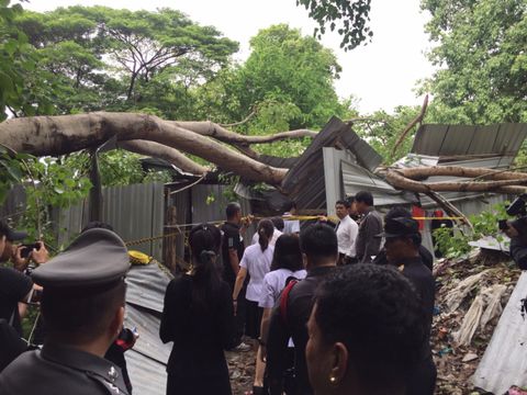 ฝนตกหนักและลมกระโชกแรง ทำให้ต้นโพธิ์ผุอายุกว่า 30 ปีล้มทับแรงงานชาวกัมพูชาเสียชีวิต 1 คน 