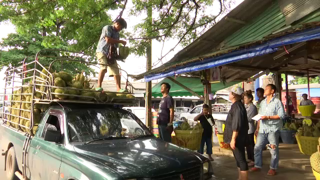 ไขข้อข้องใจ ทำไมทุเรียน ? 
