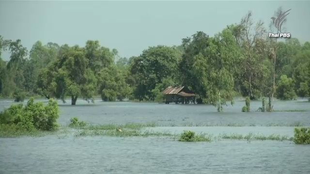 เขื่อนลำปาว จ.กาฬสินธุ์ ยังไม่ลดการระบายน้ำ เหตุน้ำเกินเกณฑ์ควบคุม