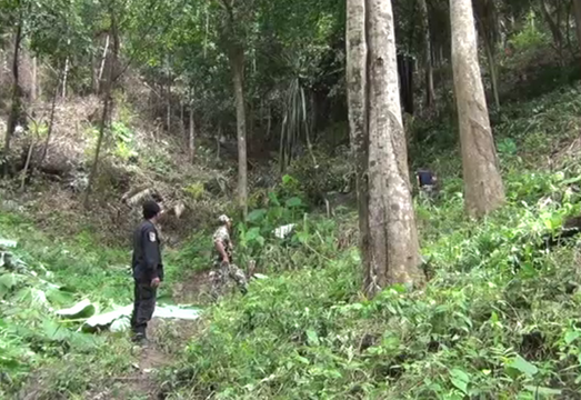 พบนายทุน ปักหมุด-ตีแนวเขตป่าอ่าวนาง "เกาะพีพี" 23 ไร่