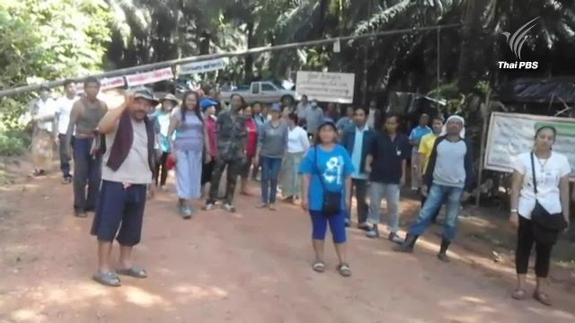 ปิดทางเข้า-ออกสวนปาล์มบริษัทเอกชน จ.กระบี่