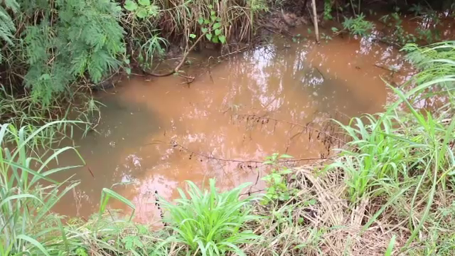 ประกาศ “งดจับปลา-สัมผัสตะกอนดิน” คลองสาขาห้วยสามพาด พบโลหะหนักปนเปื้อน