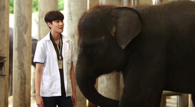 "หมอเจี๊ยบ" กับบทบาทสัตวแพทย์ในซีรีส์ "แสงในม่านหมอก" 