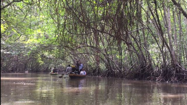 ล่องเรือลอดอุโมงค์โกงกาง ณ บางปูปัตตานี 
