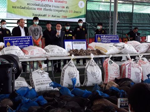 กังขา "กรมศุลกากร"ระงับคดีงดฟ้องจับตัวลิ่น 136 ตัว-ปล่อยผู้ต้องหาหนี 