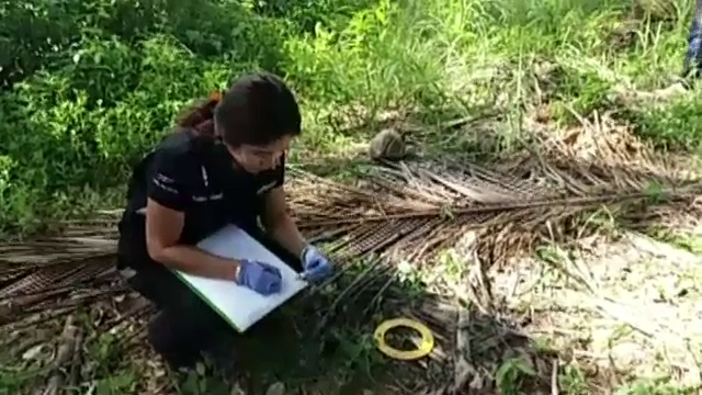 เล็งนำผู้ต้องสงสัยสาบานตนแสดงความบริสุทธิ์ คดีข่มขืน ด.ญ.14