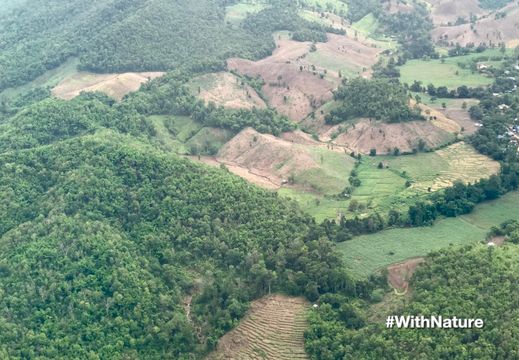 5 มิ.ย.วันสิ่งแวดล้อมโลก ชวนโซเชียลติดแฮชแท็ก #WithNature