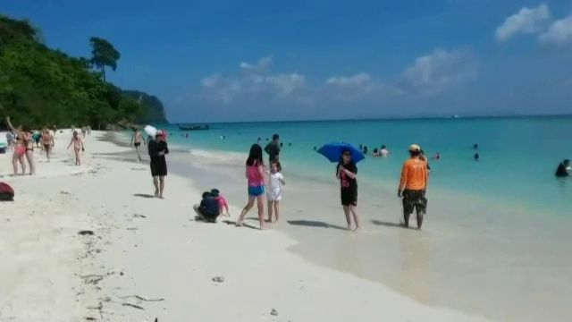 เตือนระวังแมงกะพรุนกล่องมีพิษร้ายแรงที่หาดกระบี่-ตรัง