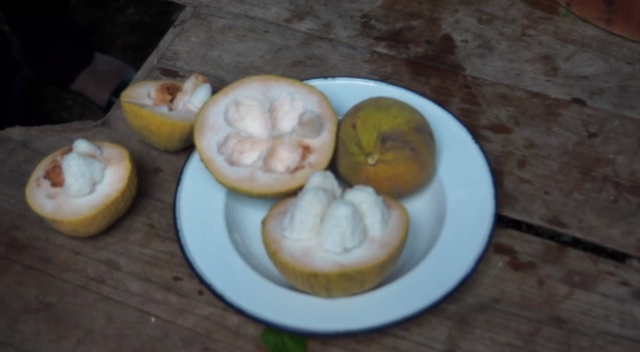 ยายกินเม็ดกระท้อนลำไส้ทะลุเสียชีวิต