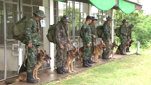 ภารกิจเพื่อชาติ "นักรบสี่ขา" แห่งกองทัพไทย