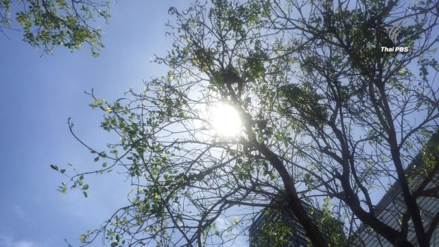 “วันครีษมายัน” กลางวันยาวนานที่สุดในรอบปี