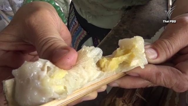 ข้าวหลามทุเรียนขายดี จ.พิษณุโลก