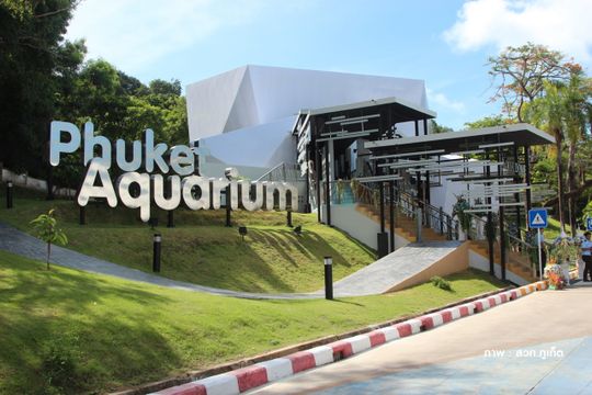  "Aqua Dome" สัมผัสมิติใหม่โลกใต้ทะเลภูเก็ต