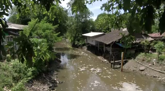 ชาวบ้านในพื้นที่ 3 จังหวัดเรียกร้องเร่งกำจัด "ปลาหมอสีคางดำ" อย่างเร่งด่วน
