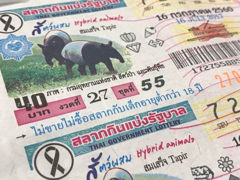 ผอ.สลากฯ ชี้แจงภาพ "สมเสร็จ" งวด 16 ก.ค.ผิดพลาด ยืนยันตรวจรางวัลได้ตามปกติ