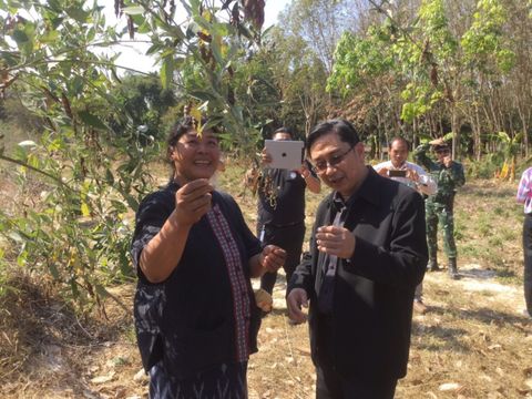 "กรมป่าไม้"เคาะที่ดินทำกินในเขตป่า 6 แสนไร่