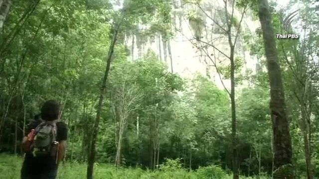ตรวจสอบปมซื้อที่ดินโรงโม่หินโยงฆ่า 8 ศพ จ.กระบี่