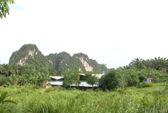 ตร.เรียกสอบหุ้นส่วนโรงโม่หินสางปมสังหารผญบ.วรยุทธ 