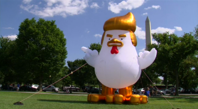 ประชาชนแห่ถ่ายรูปคู่ตุ๊กตาไก่ยักษ์ล้อเลียน "โดนัลด์ ทรัมพ์" 