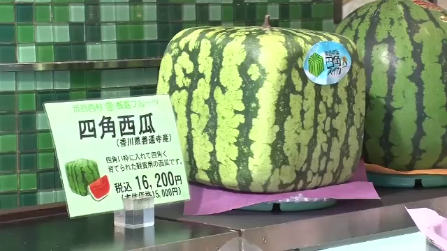 “แตงโมสี่เหลี่ยม” ผลไม้ยอดนิยมแดนปลาดิบ ลูกละเกือบ 5,000 บาท 