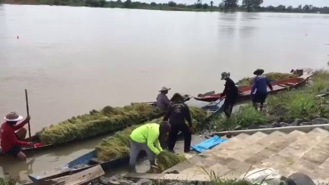 ครม.ไฟเขียวงบ 1.6 พันล้าน ช่วยเกษตรกรน้ำท่วม ครัวเรือนละ 3 พัน