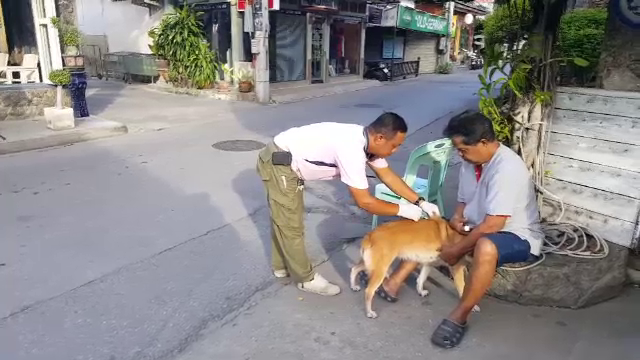 "หัวหิน" ประกาศเป็นเขตควบคุมโรคพิษสุนัขบ้าระบาดชั่วคราว