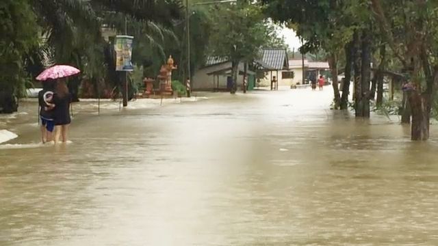 เตือนชาวบ้านริมแม่น้ำตาปี จ.สุราษฎร์ธานี ขนของขึ้นที่สูง