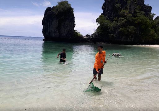 เตือนเล่นน้ำทะเล"หมู่เกาะห้อง" ระวังแมงกะพรุนไฟสีชมพู