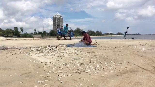 ชาวบ้านแห่จับปลา-กุ้งหาดเจ้าสำราญ หลังเกิดปรากฎการณ์น้ำทะเลเบียด