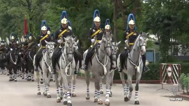 กว่าจะเป็น 78 ม้าริ้วขบวนที่ 6 อัญเชิญพระบรมราชสรีรางคาร
