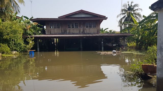 "กรมชล" มั่นใจแผนระบายน้ำเจ้าพระยา-ท่าจีนพ้นวิกฤต  2-3 วันนี้  