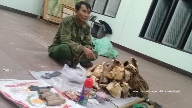 จับ"เวียดนาม"แอบเข้าป่าภูเขียว 5 วันโค่นต้นกฤษณา-หนีรอด 3 