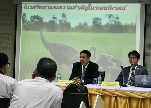 คาด “ลูกนกกระเรียน”เพิ่งหัดบินถูกรถชนตาย 1 ตัว