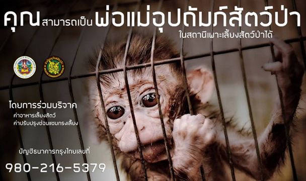 กรมอุทยานฯ ชี้สัตว์ป่าของกลางกว่า 1 หมื่นตัวรอพ่อแม่อุปถัมภ์ค่าอาหาร