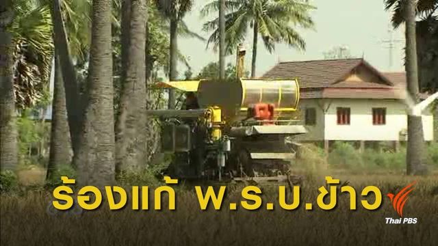 นักวิชาการ ย้ำตัดข้อจำกัดขายเมล็ดพันธุ์ในร่าง พ.ร.บ.ข้าว