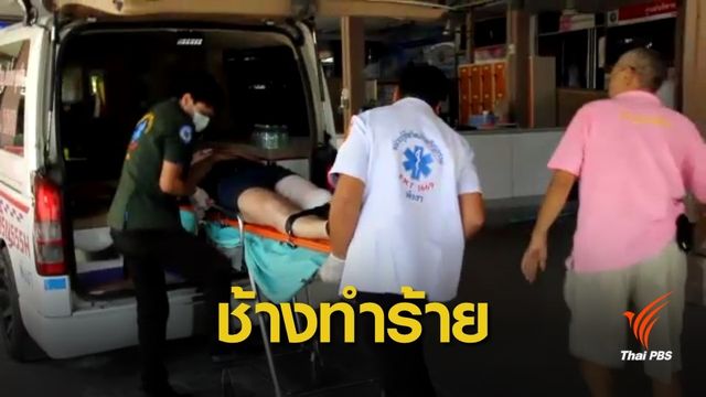 ช้างนำเที่ยวทำร้ายชาวต่างชาติบาดเจ็บสาหัส