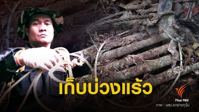 พิษบ่วงแร้ว EP.2 สั่งเก็บ “บ่วงแร้ว” ป่าเขาอ่างฤๅไน หยุดวงจรล่าสัตว์ป่า
