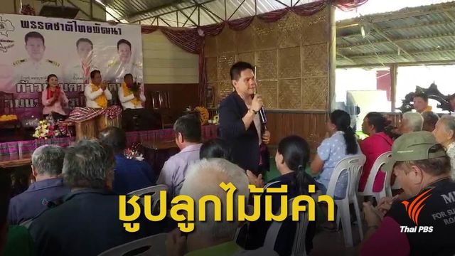 "ชาติไทยพัฒนา" หาเสียง "หนองบัวลำภู-ชัยภูมิ" ขายนโยบาย "ธนาคารต้นไม้" 