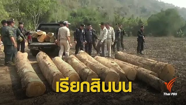 สั่งย้าย จนท.ป่าไม้-ไล่ออกลูกจ้างเรียกรับเงินตัดไม้ป่าสงวน จ.แพร่