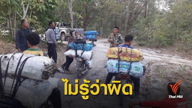 อ้างทำยา ! เก็บสมุนไพรม้ากระทืบโรง" 1,505 กก.กลางป่า 