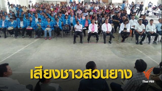 ฟังเสียงประชาชนใต้ : ชาวสวนยาง ขอหยุดขายฝัน-แก้ปัญหายางอย่างยั่งยืน