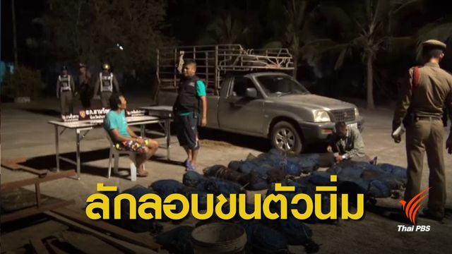 ลักลอบขนตัวนิ่ม 76 ตัว ส่งปทุมธานี หนีด่านตรวจ-ตำรวจจับได้