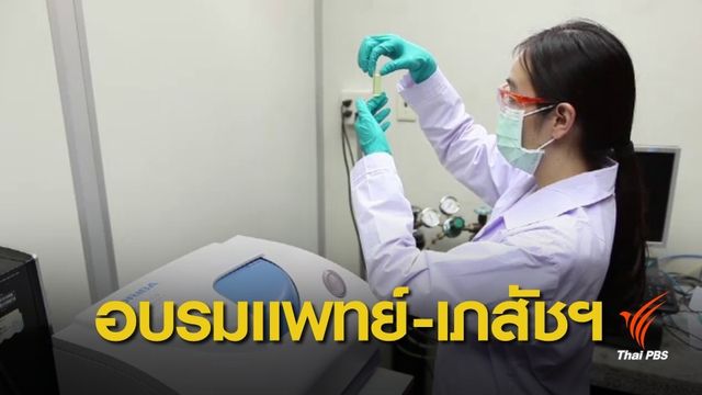 เตรียมอบรมกัญชารักษาโรค กลุ่ม “แพทย์ เภสัชกร” 19-20 มี.ค. 