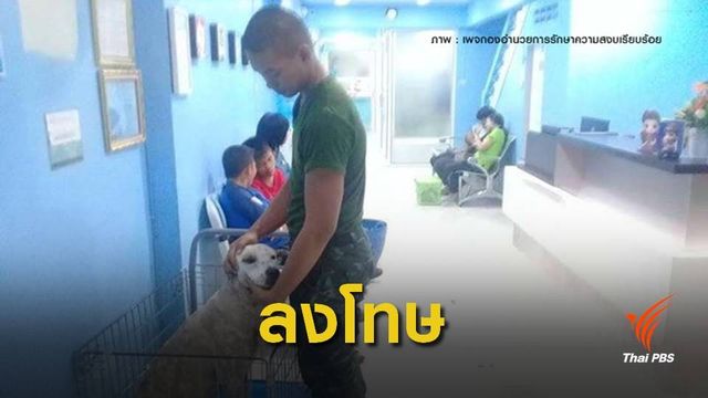 ผบ.ทบ.สั่งลงโทษทางวินัยทหารสั่งมัดขาหมาตากแดด 