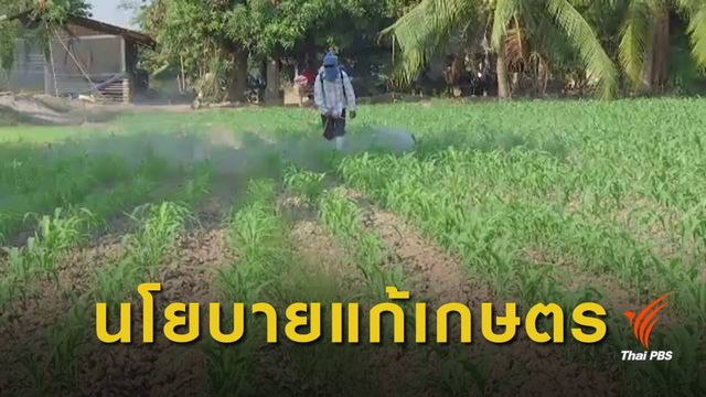 แนะทำนโยบายแก้ปัญหาเกษตรกร-เพิ่มราคาผลผลิต